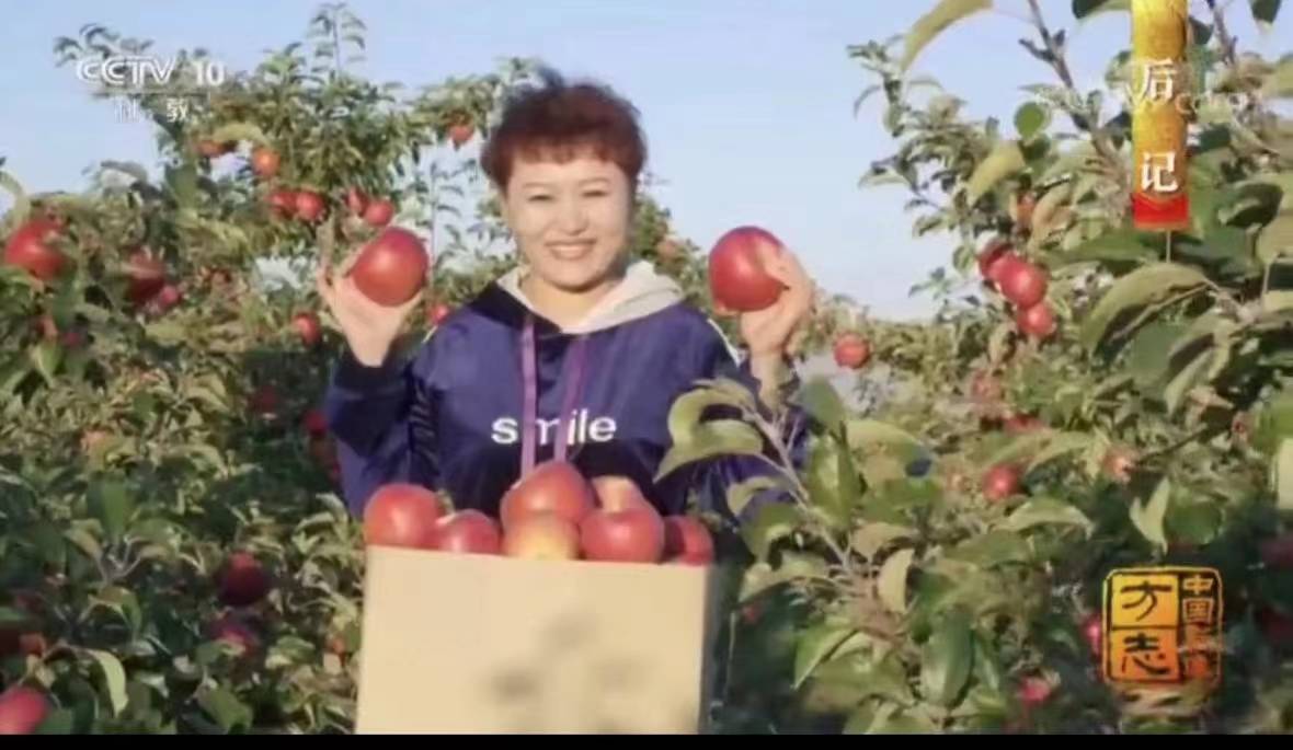 恐怖之眼苹果免费版下载:商界会会员——富硒苹果珲春郑立军-第1张图片-太平洋在线下载