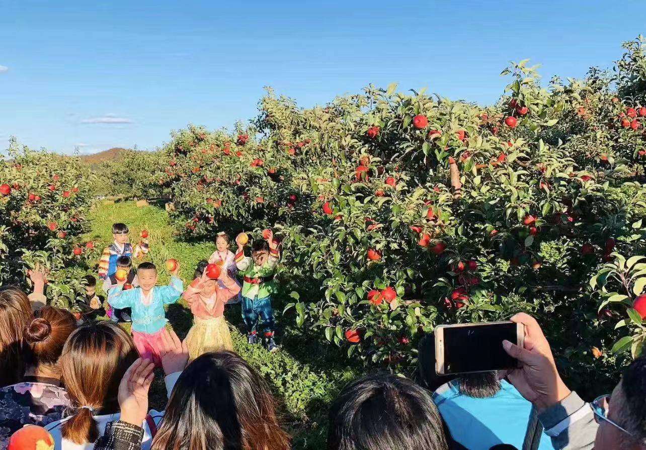 恐怖之眼苹果免费版下载:商界会会员——富硒苹果珲春郑立军-第4张图片-太平洋在线下载