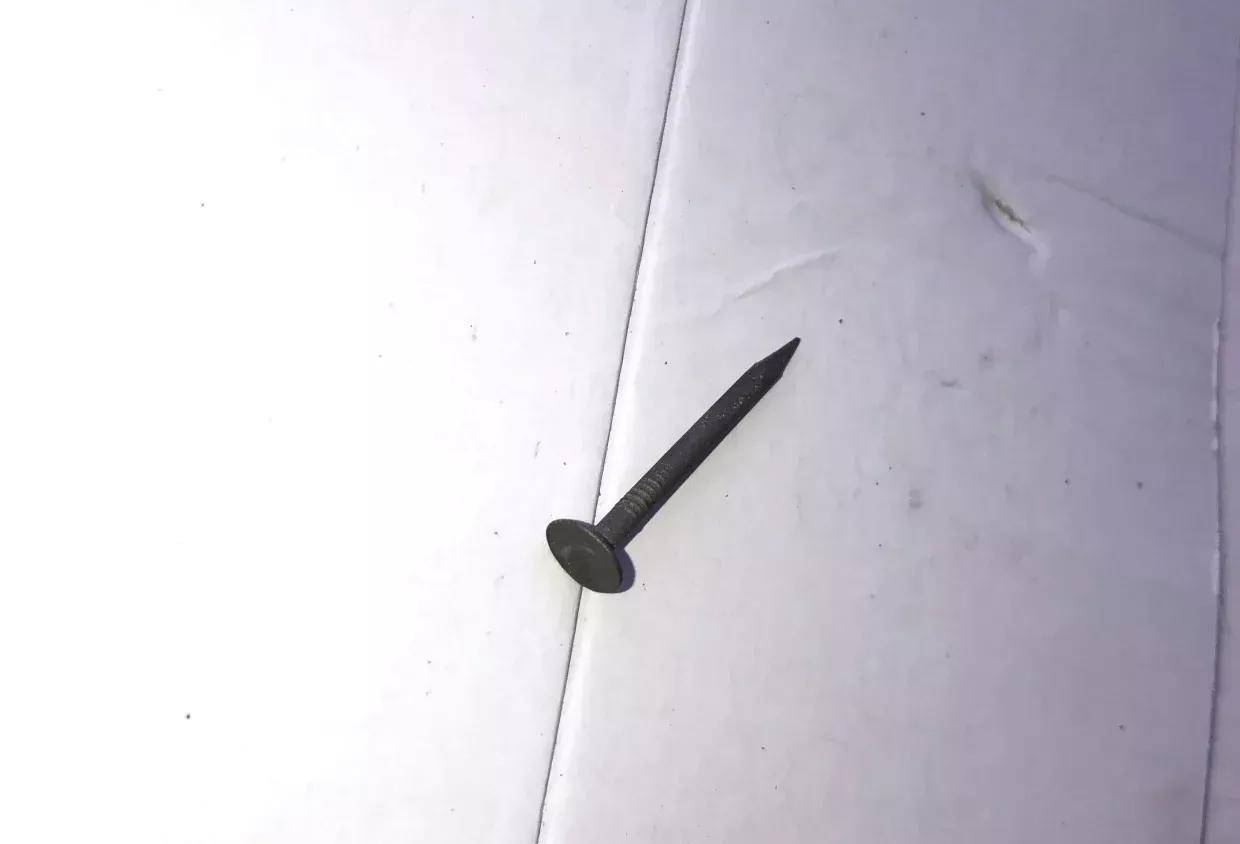 钉钉免安装绿色版苹果:家庭常用的钉子类型-第3张图片-太平洋在线下载