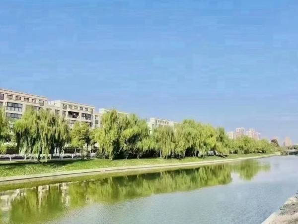 恒房通苹果版
:嘉定嘉隆骏@最新房价丨价格详情丨嘉定嘉隆骏户型丨交通配套-第3张图片-太平洋在线下载