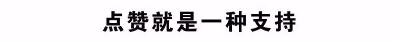 鲸交所苹果版:整理自己（深度好文）-第11张图片-太平洋在线下载