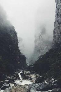 雾雨之森手机版-第1张图片-太平洋在线下载 雾雨之森手机版-第1张图片-太平洋在线下载