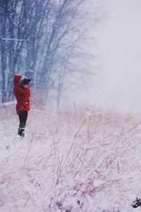 苹果se蜂窝版测评-第3张图片-太平洋在线下载 苹果se蜂窝版测评-第3张图片-太平洋在线下载