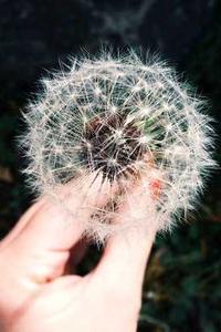 qq简洁版苹果下载-第2张图片-太平洋在线下载 qq简洁版苹果下载-第2张图片-太平洋在线下载
