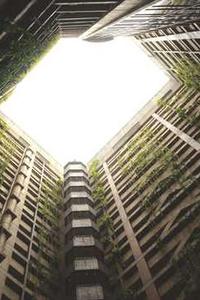 天天练免费版苹果-第1张图片-太平洋在线下载 天天练免费版苹果-第1张图片-太平洋在线下载