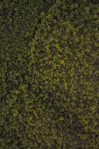 7065苹果影院手机版-第2张图片-太平洋在线下载 7065苹果影院手机版-第2张图片-太平洋在线下载