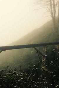 肇庆游戏推荐苹果版-第4张图片-太平洋在线下载 肇庆游戏推荐苹果版-第4张图片-太平洋在线下载