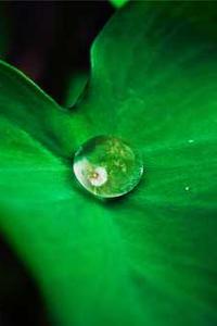 苹果版单机西游攻略-第2张图片-太平洋在线下载 苹果版单机西游攻略-第2张图片-太平洋在线下载