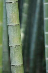 nvsee苹果版免费下载-第2张图片-太平洋在线下载 nvsee苹果版免费下载-第2张图片-太平洋在线下载