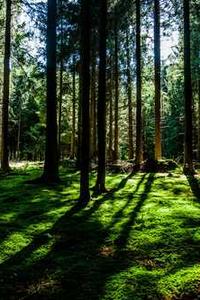 苹果版定位修改多开-第3张图片-太平洋在线下载 苹果版定位修改多开-第3张图片-太平洋在线下载