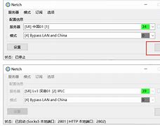 netch苹果版iphone激活时间查询入口-第2张图片-太平洋在线下载