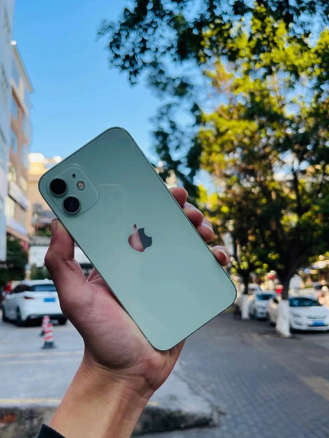 苹果12电信版iphone12支持电信吗-第1张图片-太平洋在线下载