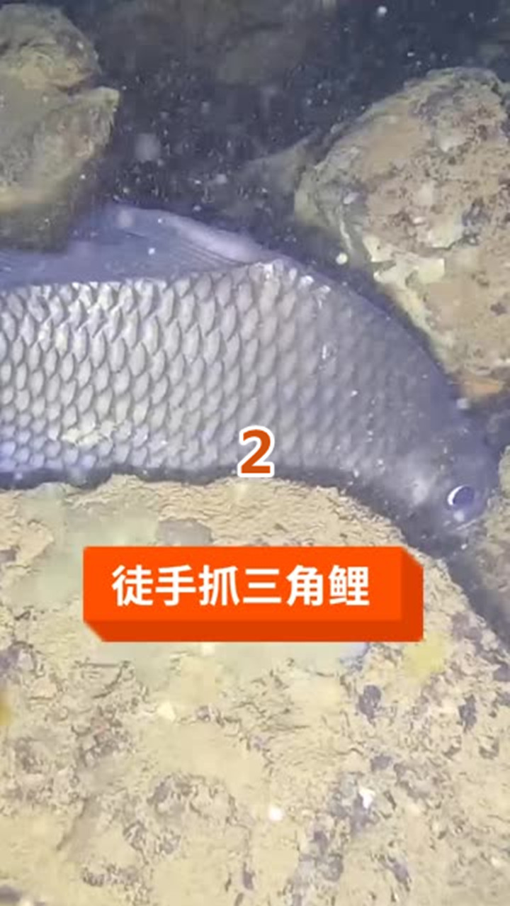 手机版怎么抓鱼我的世界手机版怎么抓鱼到桶里-第2张图片-太平洋在线下载