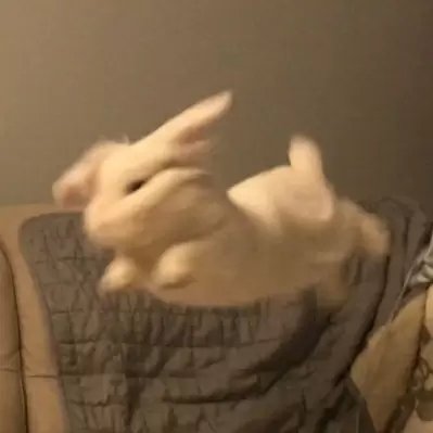 潇湘书院手机阅读版潇湘书院十年经典作品-第2张图片-太平洋在线下载