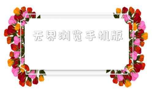 无界浏览手机版无限制访问国外的手机浏览器-第1张图片-太平洋在线下载