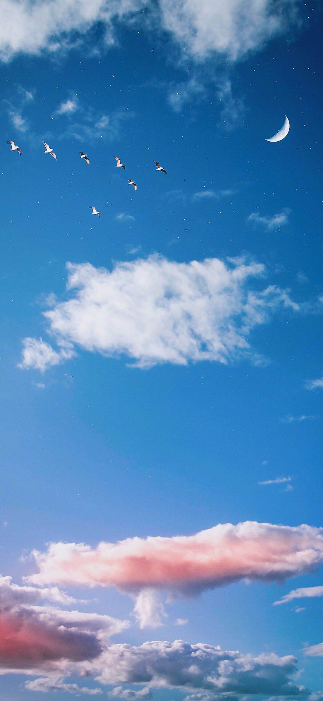 苹果版天空影视天空影视苹果版叫什么-第2张图片-太平洋在线下载