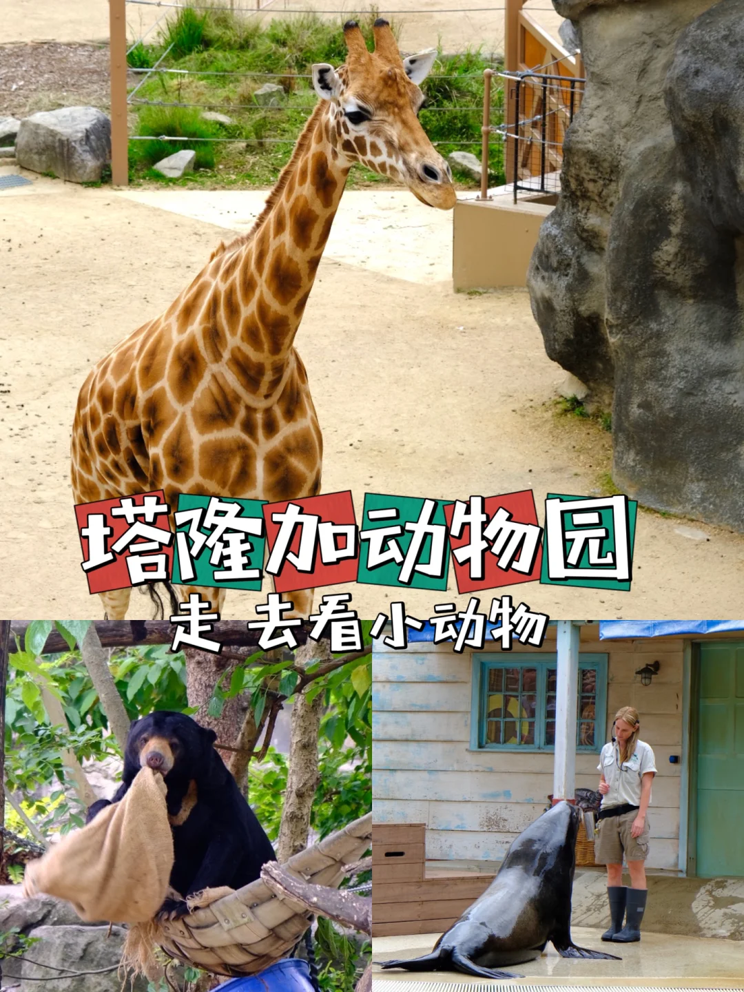 安卓版SkySafarisafari浏览器安卓版91-第2张图片-太平洋在线下载