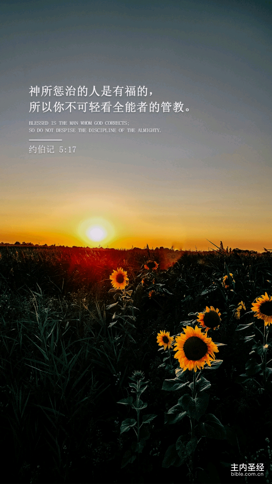 主内圣经苹果版苹果在圣经的隐喻-第1张图片-太平洋在线下载