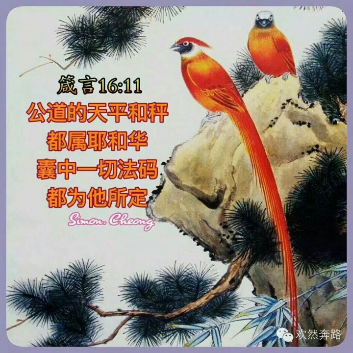 主内圣经苹果版苹果在圣经的隐喻-第2张图片-太平洋在线下载