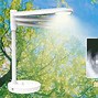 野光源安卓版野光源台灯到底好不好-第1张图片-太平洋在线下载