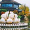 手机版移动拈花网拈花星闻娱乐社会手机移动版-第1张图片-太平洋在线下载