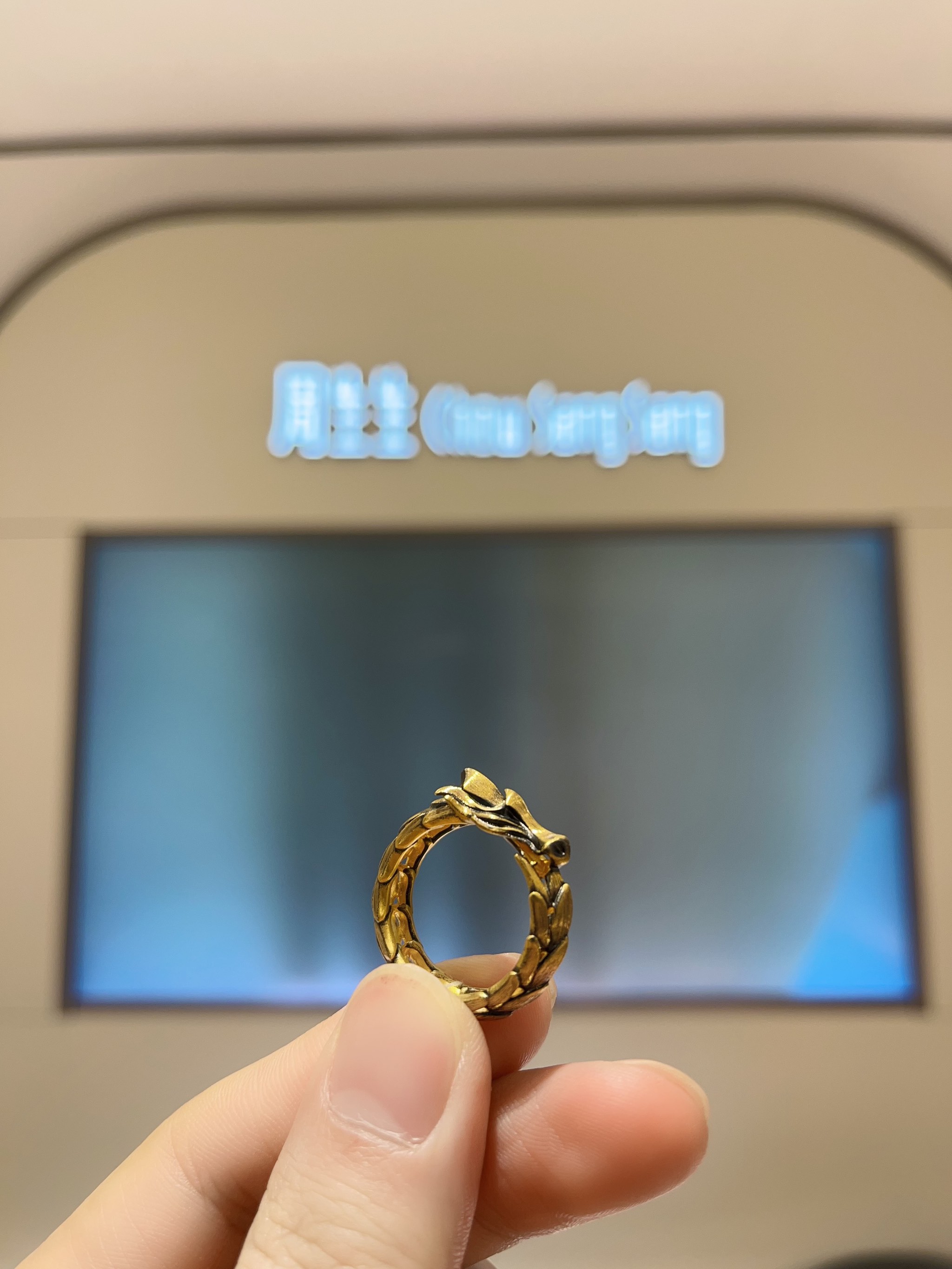 龙戒安卓版龙戒电脑版怎么下载-第2张图片-太平洋在线下载