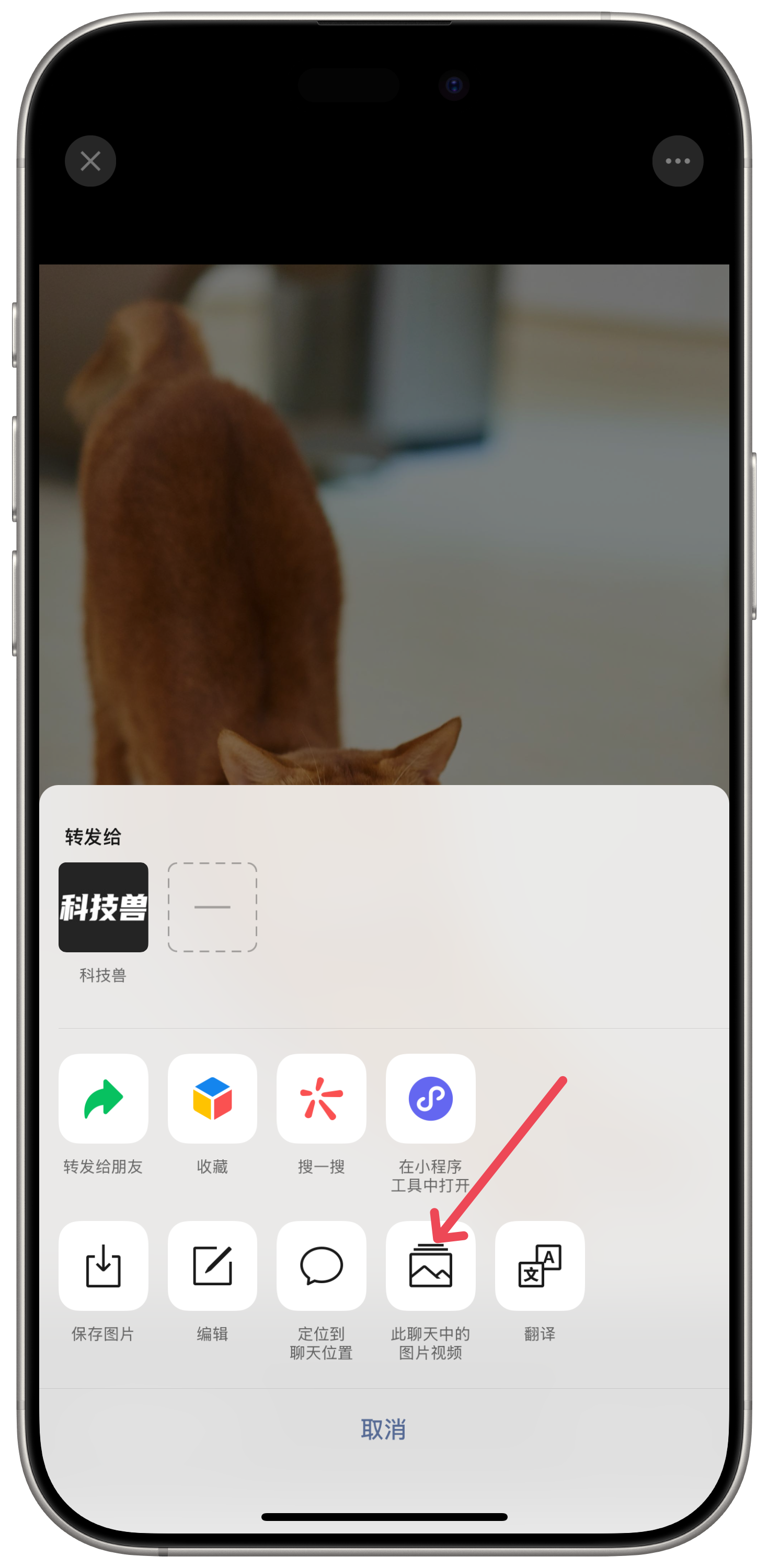 微信版苹果版免费版(苹果免费下载微信最新版本2020,并安装)-第3张图片-QuickQ官网 微信版苹果版免费版(苹果免费下载微信最新版本2020,并安装)-第3张图片-QuickQ官网
