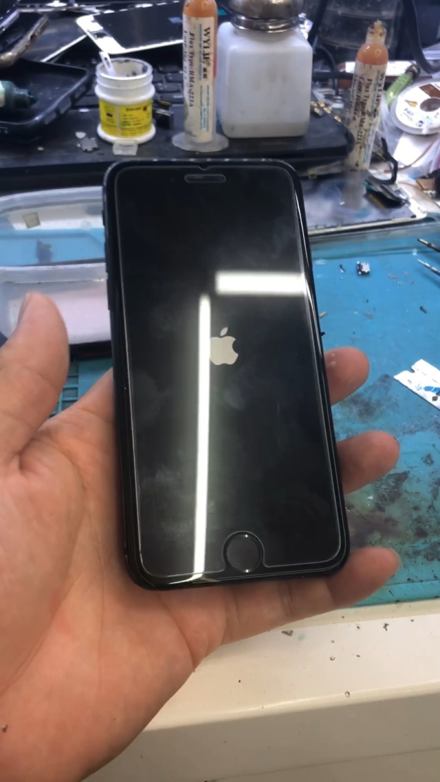 苹果x逻辑版白苹果(苹果免费软件网站)