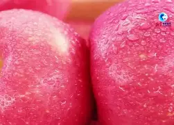 苹果版pubgpic(苹果版pubg安装包获取大陆)-第5张图片-QuickQ官网