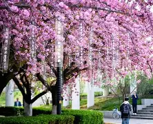 樱花学校模式手机版下载(樱花学校模拟器2020年最新版大全)-第5张图片-QuickQ官网
